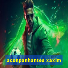 aconpanhantes xaxim